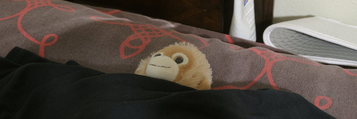 full-width photo